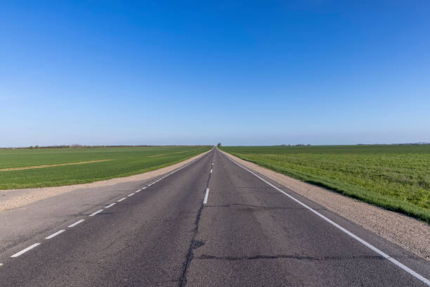 istock an asphalt road along which green plants 1398817867