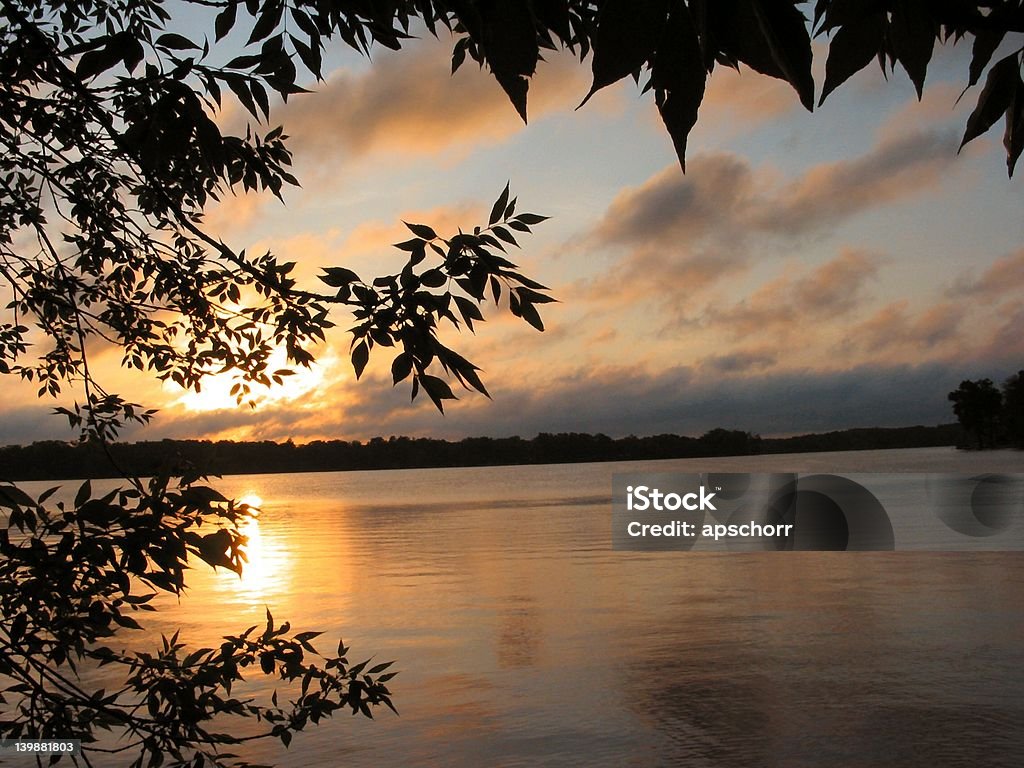 Lever de soleil sur le lac, un roseau - Photo de 2004 libre de droits
