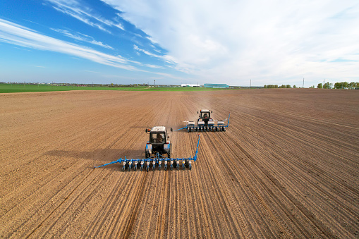 Photo of a man in a corn plantaction. Researcher.