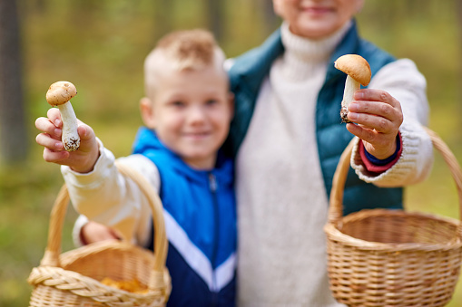 picking season, leisure and people concept - close up of happy smiling grandmother and grandson with baskets showing mushrooms in forest