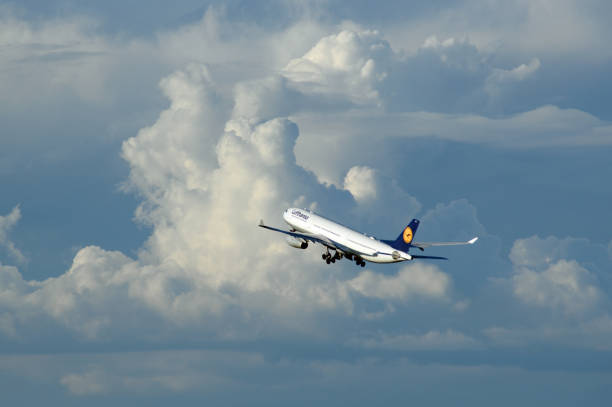 май, 2022, тампа, флорида - lufthansa a 330 красиво взлетает из аэропорта тампы в сторону массивных облаков - lyrical стоковые фото и изображения