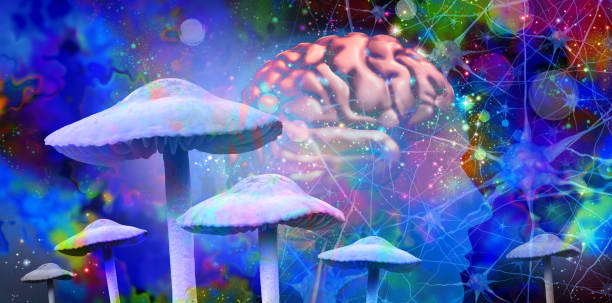 Mushrooms And Mental Health Mushrooms and mental health as Psychedelic drug or psychedelics hallucinogenic drugs and hallucinogens representing medicine for brain disorders in a 3D illustration style. hallucinogen stock pictures, royalty-free photos & images