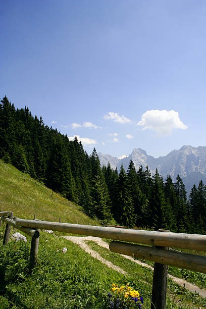 Mountain scene Wilder Kaiser stock photo