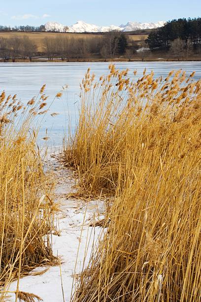 istock Pelleautier lake 139882316