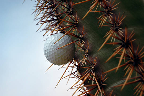 istock Golf ball in cactus 11 139882481