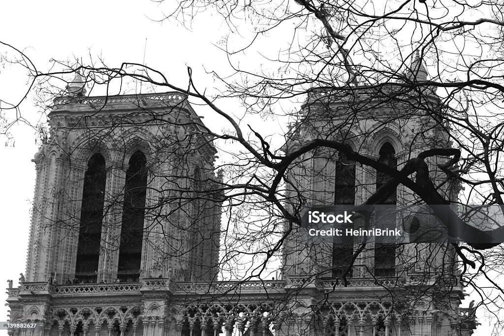 Notre Damme - Photo de Arbre libre de droits