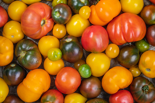 Assorted tomatoes of different colors top view. food background