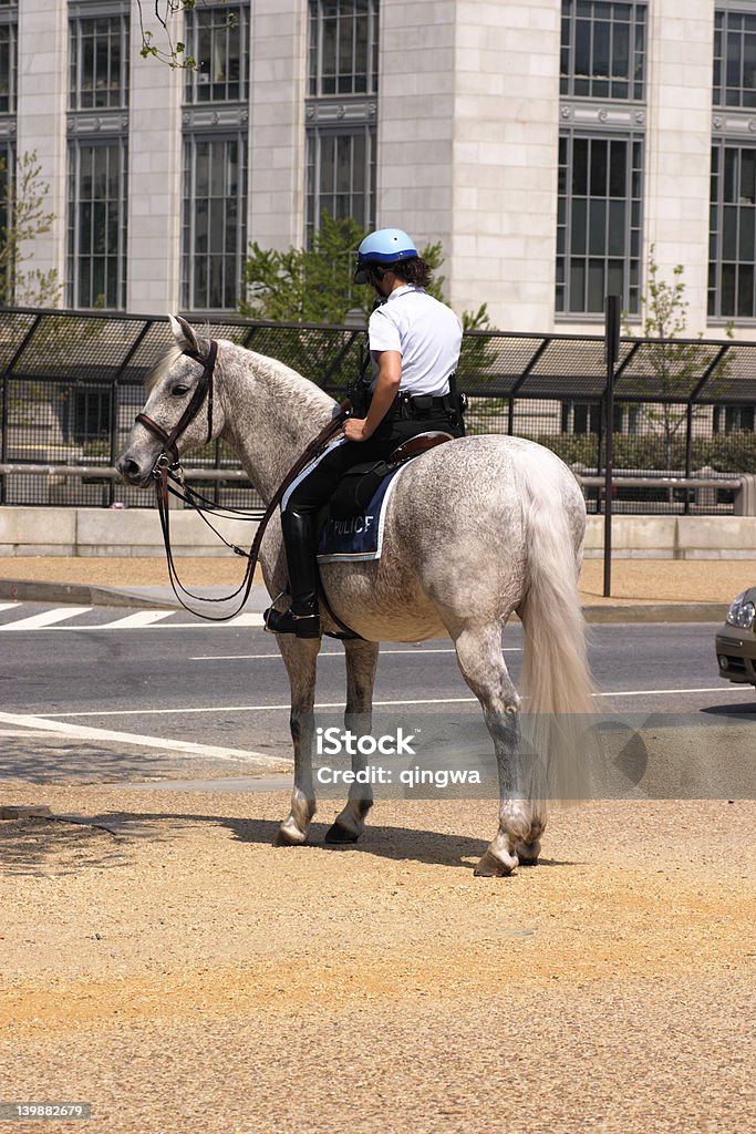 Caballo de policía - Foto de stock de Caballo - Familia del caballo libre de derechos