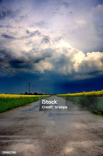 Stormy Road - Fotografie stock e altre immagini di Ambientazione esterna - Ambientazione esterna, Area selvatica, Campo