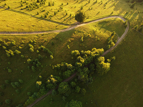Aerial view of beautiful mountain Carpathians, Ukraine in sunlight. Drone filmed an landscape with coniferous and beech forests, around a winding serpentine road, copter aerial photo.