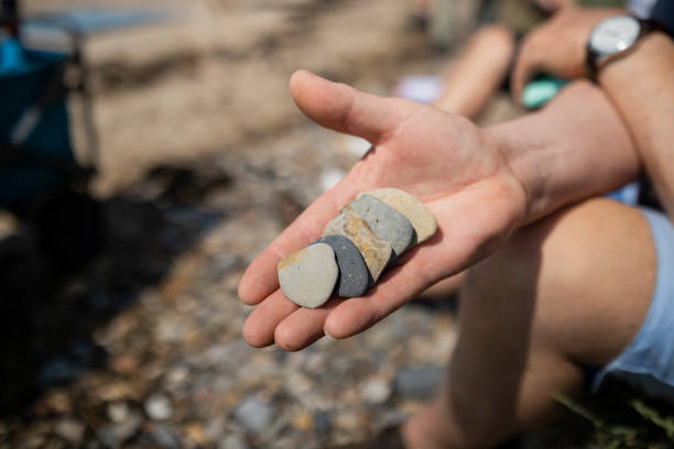 Close up selective focus shot of a man holding shells he has collected from a beach in his hand. He is visiting Holy Island in the North East of England.