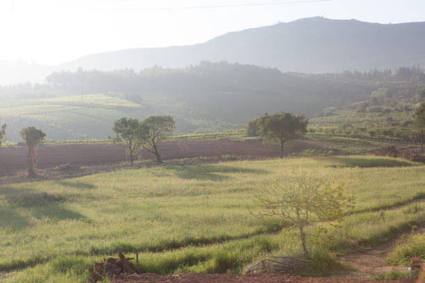 istock Morning farm scene on Portugese mountain 1398832823