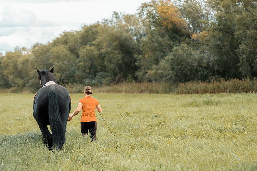 Rider leading black horse on grass, rear view.