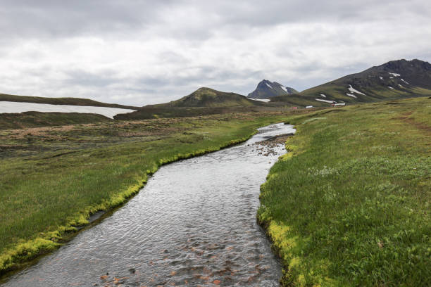 istock Wetlands in Iceland highlands 1398832851