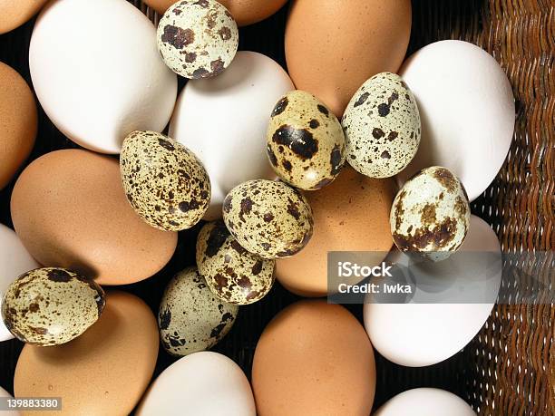 Eggs Stock Photo - Download Image Now - Acid, Animal Egg, Bird