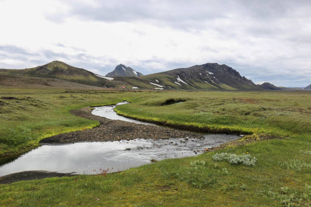 istock Wetlands in Iceland highlands 1398834182