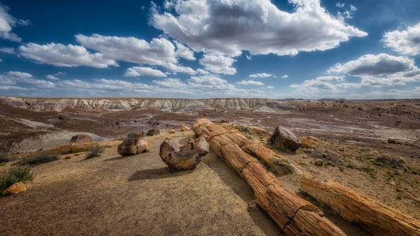 istock Petrified Forest, Painted Desert National Park 1398834927