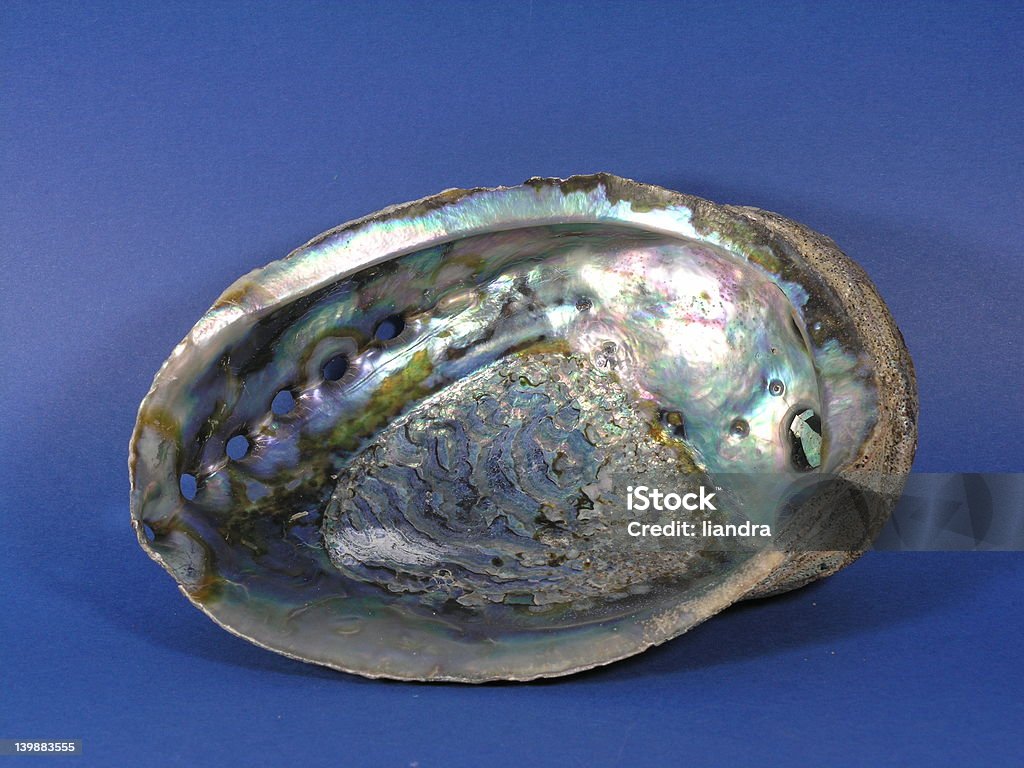 Mare-opal - Foto stock royalty-free di Blu