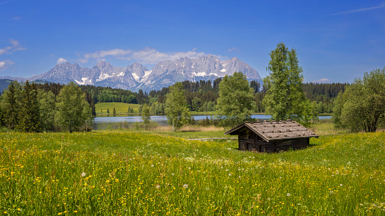 Austria, Kitzbühel, Meadow, Springtime, Kaiser Mountains