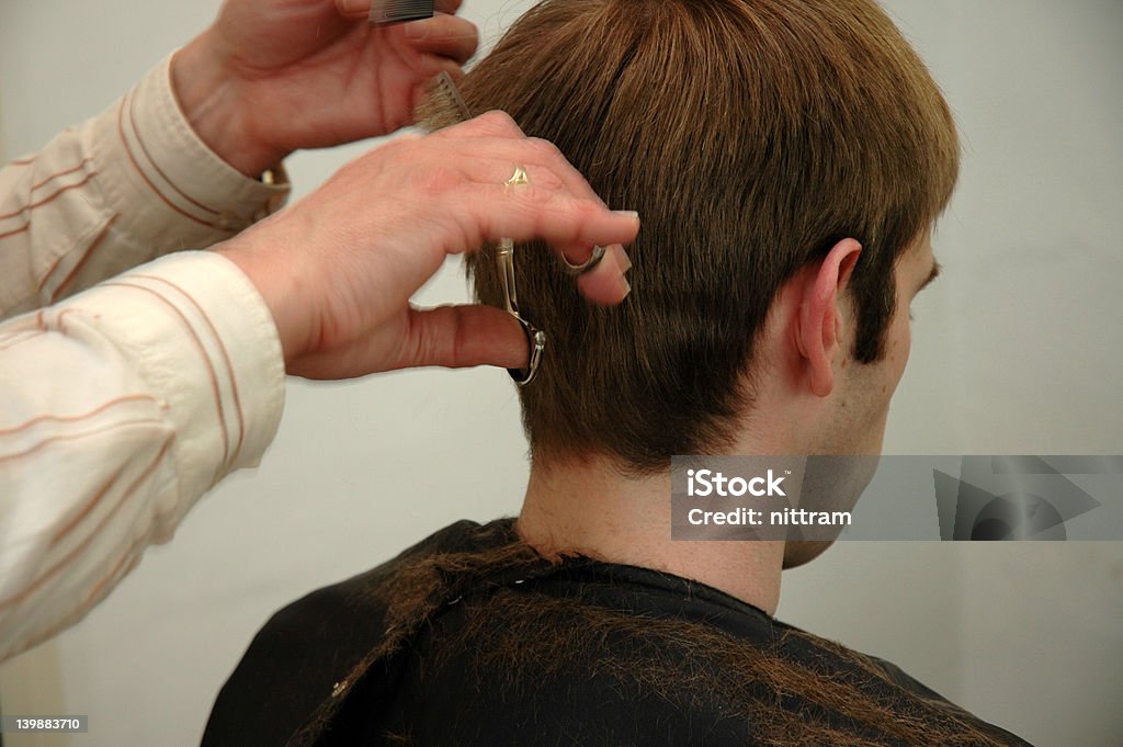 haircut haircut, watch the fast moving right hand of the barber Animal Hair Stock Photo