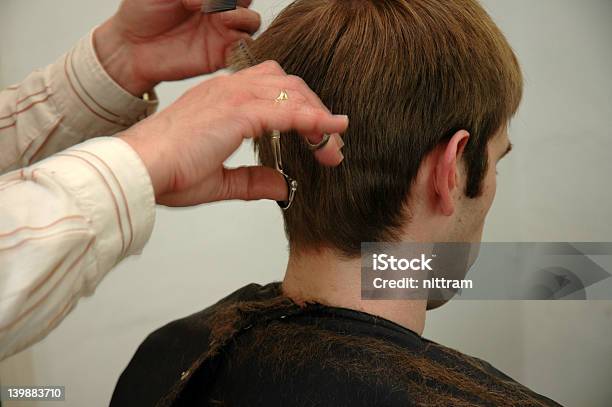 Haircut Stock Photo - Download Image Now - Animal Hair, Barber, Barber Shop