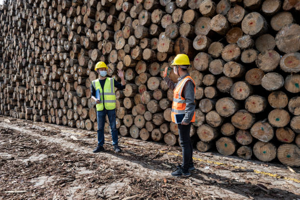 istock Two workers greet each other at the warehouse 1398837707