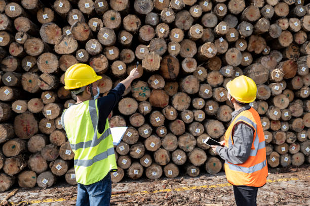 istock The two workers work together in a shipping warehouse 1398837709