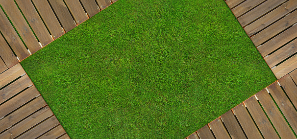 green grass texture - well-groomed turf in the garden