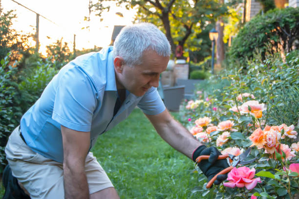 istock Man gardening his backyard with flowers 1398838159