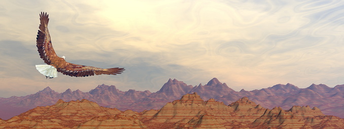 Bald eagle flying upon rocky mountains by sunset light - 3D render