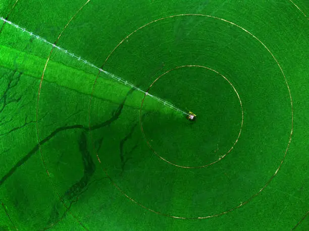 Photo of Aerial View from a Drone of a Farm Field of Crops Green Grown with Pivot Sprinklers