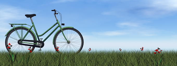 Green lady bicycle on the grass with flowers by day - 3D render