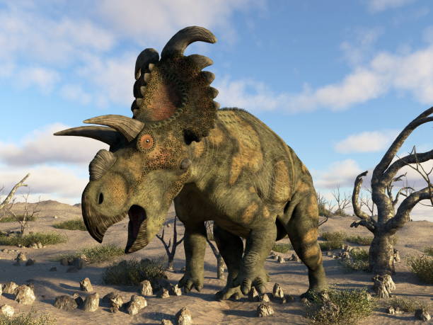 istock Albertaceratops dinosaur in the desert - 3D render 1398838670