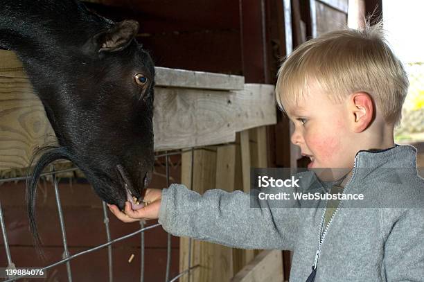 Kid Żywienia Zwierząt - zdjęcia stockowe i więcej obrazów Chłopcy - Chłopcy, Zoo, 12-17 miesięcy