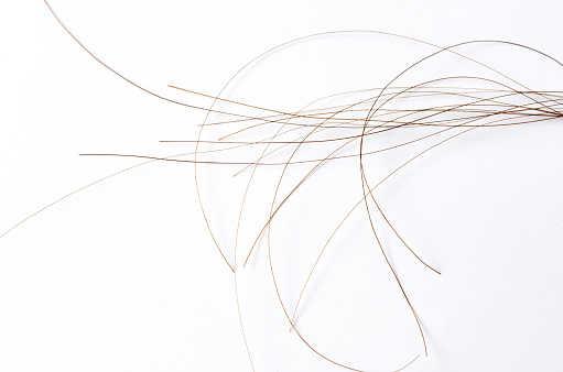 Hair closeup on a white background. The concept of hair care or alopecia. Copy space.