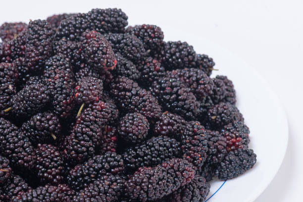 istock Freshly harvested mulberries in a white plate 1398843634