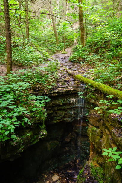 sinkhole in red river gorge - ravine geology danger footpath imagens e fotografias de stock