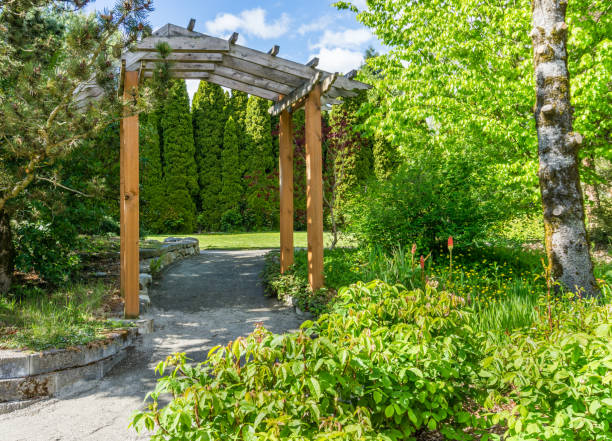 istock Arboretum Walkway Arch 1398843871