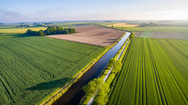 istock Small road with canal amidst agricultural lands 1398844543