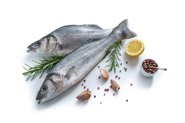 surowe ryby labraksa robalo świeże owoce morza dwie ryby z ziołami pietruszki cytrynowej i przyprawami izolowanymi na białym - fish seafood catch of fish freshness zdjęcia i obrazy z banku zdjęć