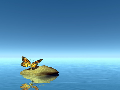 Monarch butterfly peaceful on a stone in blue background - 3D render