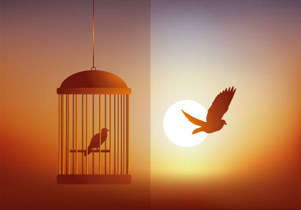 istock A bird locked in a cage that looks at another in freedom. 1398845526