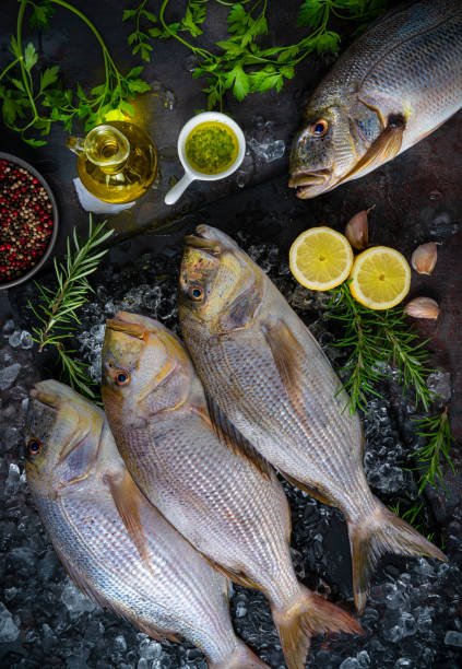 istock Common Dentex fish three in a row fresh on ice and dark background sparidae family as Seabream and Snapper 1398845607