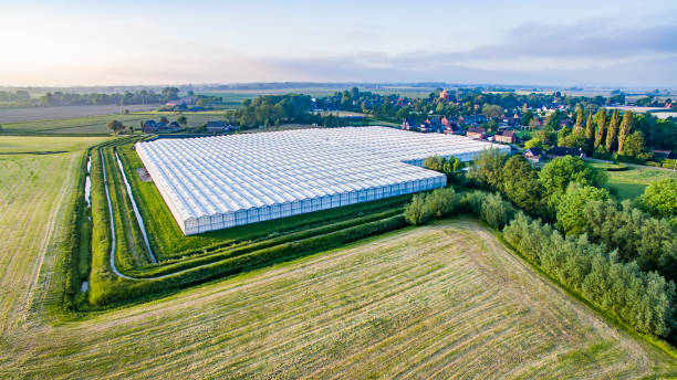 istock A large greenhouse  in the countryside 1398845704