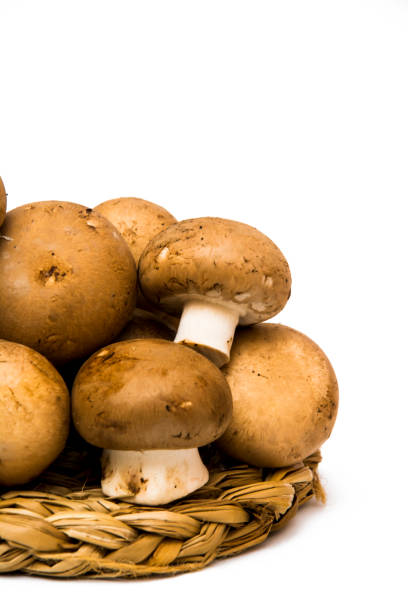 istock Mushrooms on white background 1398846051