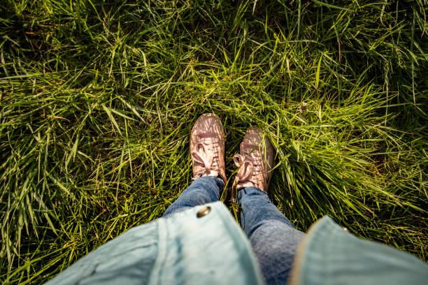 istock Person standing in long grass 1398847253