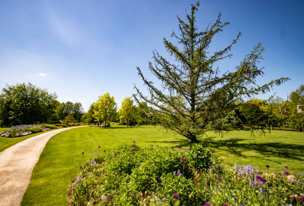istock Park der Garten in Germany 1398847753