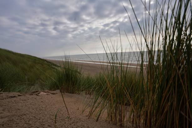 istock Dunes in Noordwijk in the evening 1398848899