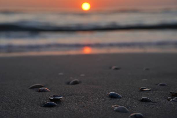 istock Northsea in Noordwijk in the evening 1398848963