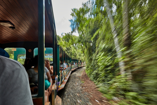 Train point view of train driving at Iguazu national park, Argentine.